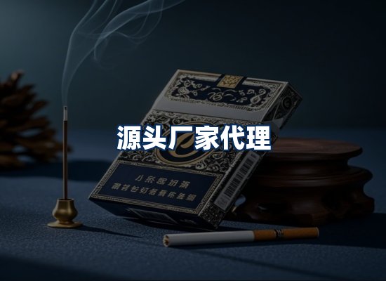 专业团队办公环境